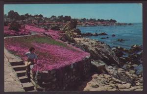 The Magic Carpet,Flowers,Pacific Grove,CA BIN