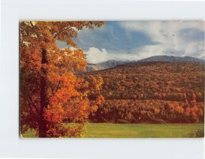 Postcard Early snow on Mt. Mansfield, Vermont