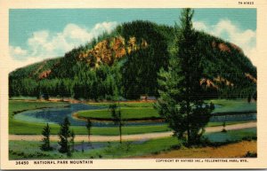 Vtg Yellowstone National Park Mountain Wyoming WY 1930s Unused Linen Postcard