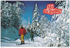 The Province Of Quebec Offers Visitors The Choice Of Alpine Or Cross-Country ...