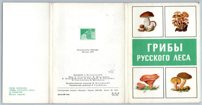 1971 MUSHROOMS of the Russian Forest Landscape Tree Lot 16 Postcards in Folder