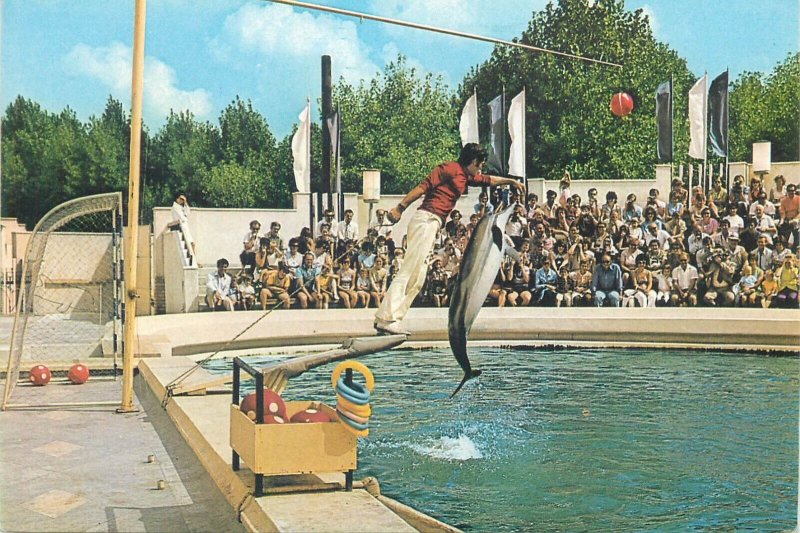 Romania Constanta Dolphinarium dolphin trainer show postcards lot 