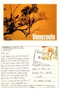 Guacamayas, Venezuela