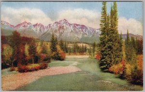Jasper Park Lodge Alberta Nature Scene 1930s CNR Postcard H81
