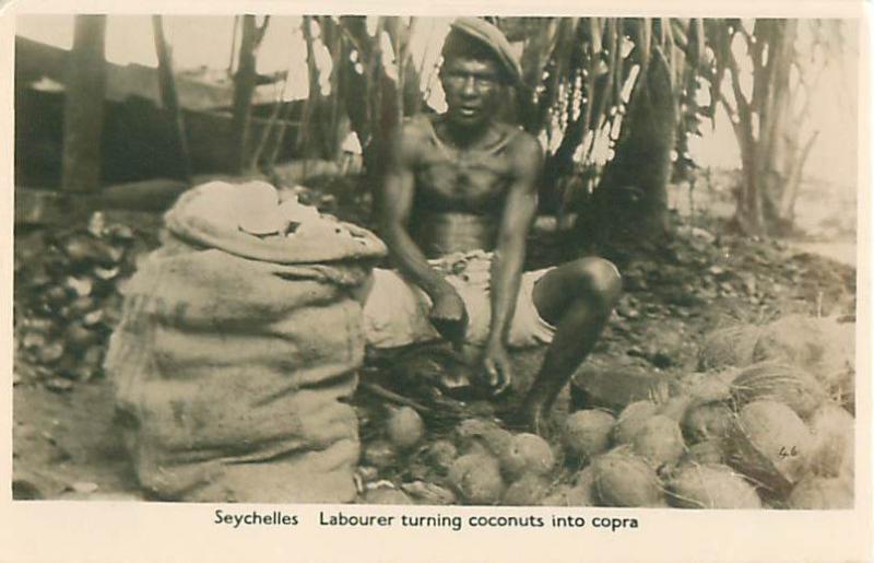 Seychelles Laborer Turning Coconut into Copra Real Photo Postcard Old, Rare 