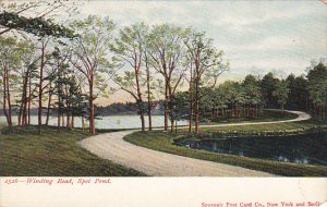 New York Spot Pond Winding Road