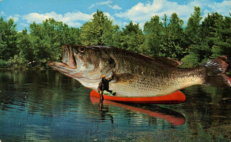 Exaggeration - Big One Got Away (Giant fish on canoe)