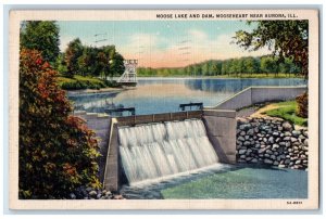 1937 Moose Lake and Dam Mooseheart Near Aurora Illinois IL Vintage Postcard