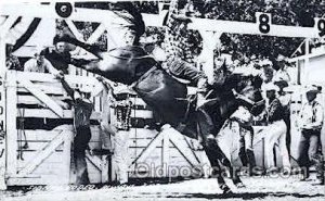 Sidney Rodeo Western Cowboy, Cowgirl Writing On Back writing on back