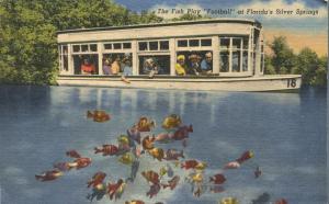 Fish Playing - Glass Bottom Boat - Silver Springs FL, Florida - Linen