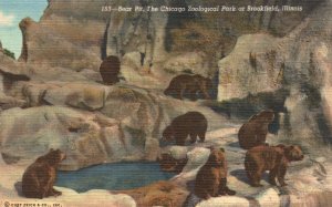 Vintage Postcard Bear Pit Bear Dens Chicago Zoological Park Brookfield Illinois