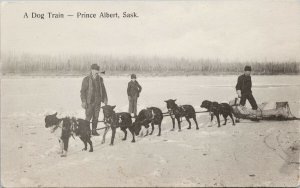 Prince Albert Saskatchewan Dog Train Sled Dogs Unused Copp Clark Postcard H21