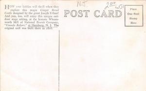 Hamburg New Jersey~Ginger Bread Castle~National Biscuit Company~1950s Postcard