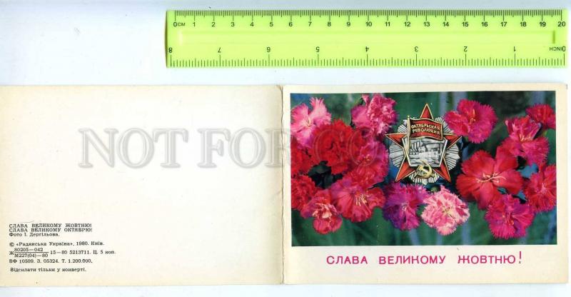 213054 Dergilev Revolution PROPAGANDA carnation flowers