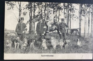 Mint Sweden Real Picture Postcard Red Cross sanitary dogs