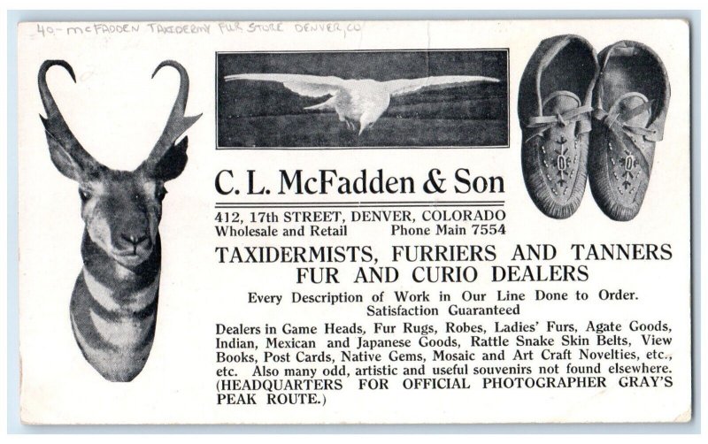 McFadden Taxidermy Fur Store Interior View Denver Colorado CO Unposted Postcard