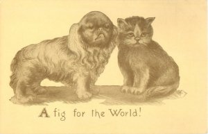 Dog & Cat Friends  A fig for the world!  Colby's Pets Series 546 Postcard