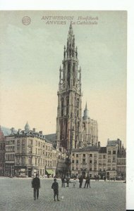 Belgium  Postcard - Antwerpen - Hoofdkerk - Anvers - La Cathedrale - Ref TZ8070