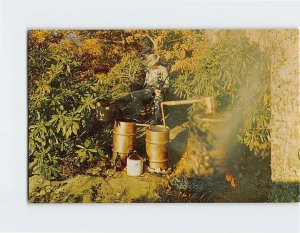 Postcard Authentic Moonshine Still, Jump Off Rock, Laurel Park, North Carolina