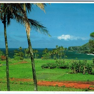 c1984 Maui, Hawaii Hana Road Lush Farmland Ocean Palm Trees Chrome 4x6 PC M27