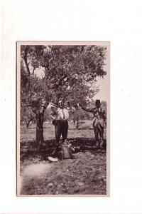 Real Photo, Man Standing Beside Tree, Turkish Man, French Back, 4.5 X 3 inches