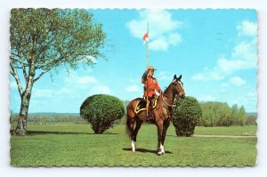 Royal Canadian Mounted Policeman Mountie Sheffield NB Canada Chrome Postcard B14