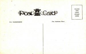 Scranton, Pennsylvania - The Boulevard Bridge, Nay Aug Park - c1907