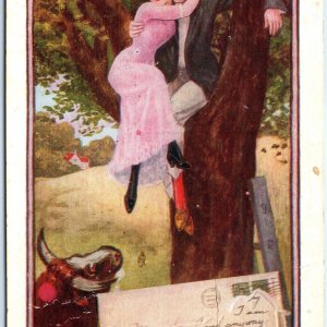 c1910s Man in Tree Saves Woman from Bull Horns Letter Embossed Rare Postcard A90