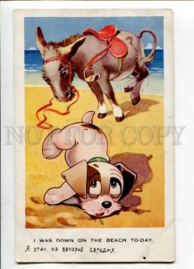 402765 JINKY Comic DOG & DONKEY vintage colorful PC