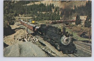 Rio Grande #481, Steam Locomotive, Monarch, Colorado, Vintage 1950 Postcard