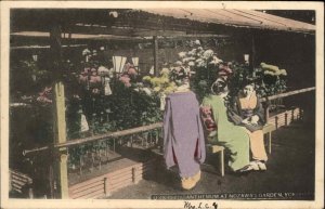 Yokohama Japan Chrysanthemum Nozawa's Garden c1910 Vintage Postcard