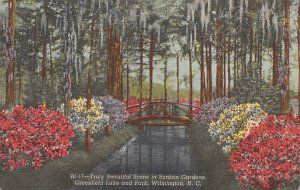 Sunken Gardens, Greenfield Lake and Park Wilmington, North Carolina NC  