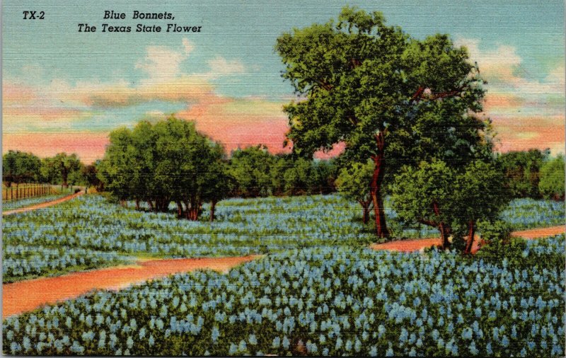 Vtg 1930s Blue Bonnets Texas State Flower TX Scenic View Unused Linen Postcard