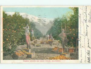 Pre-1907 SNOW FIELD BEHIND ORANGE GROVES Los Angeles Postmark CA Q2041