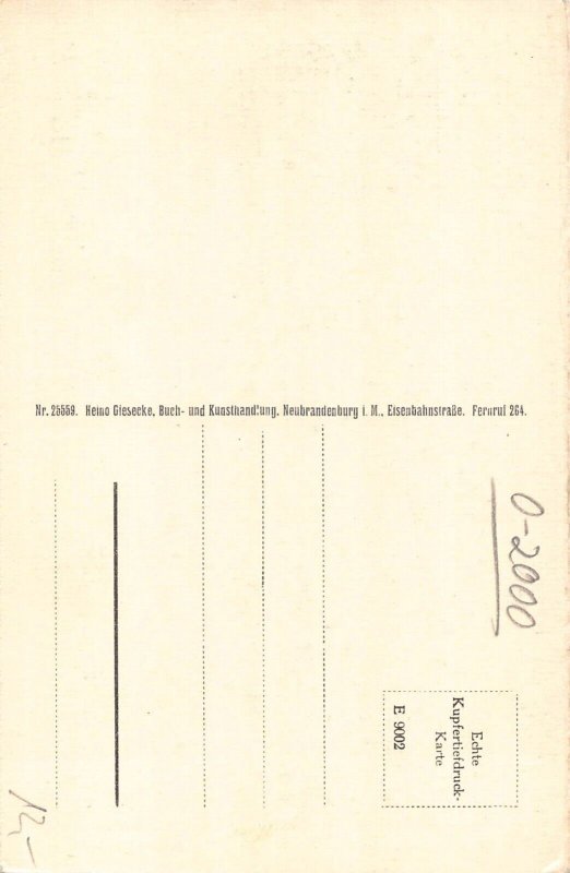 Germany Neubrandenburg Stargarden Tor postcard