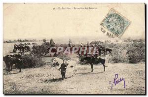 School has Feu - In Rear of Batteries - horse - Old Postcard