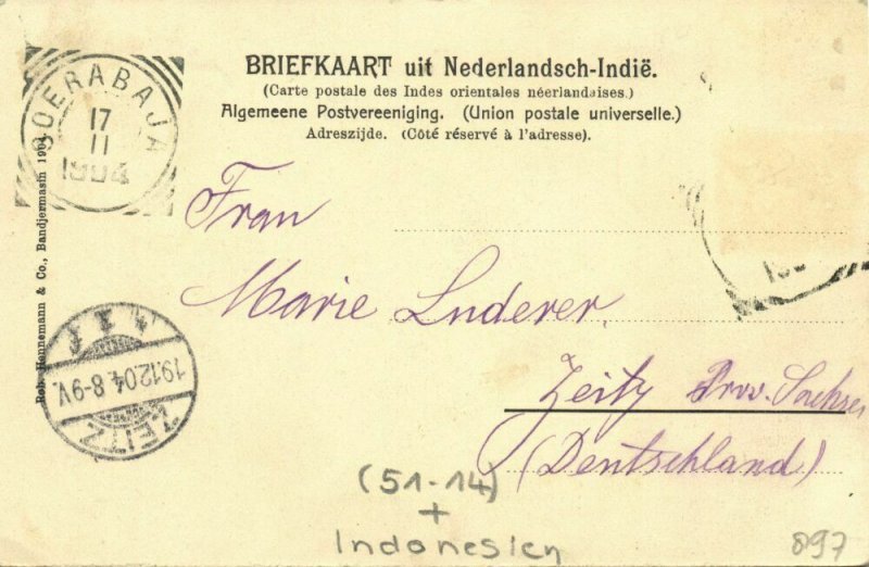 indonesia, BORNEO, Dayak Headhunters Mahakam River, Shields (1904) Postcard (1)