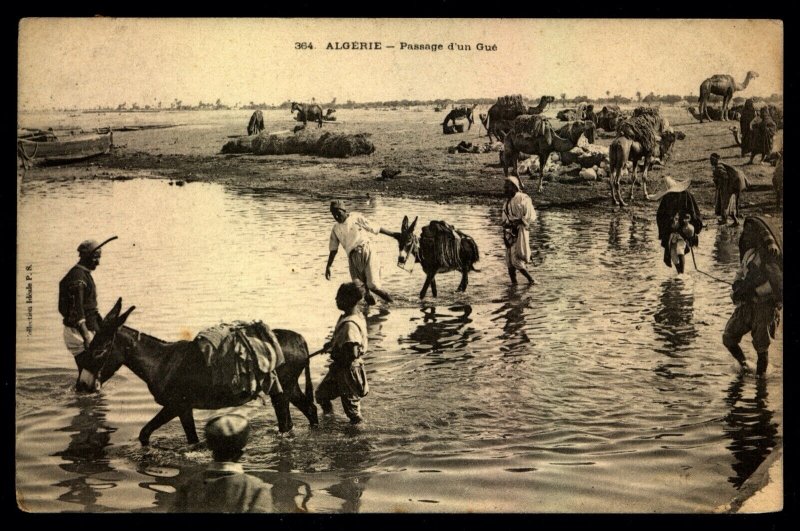 Algeria postcard River crossing donkeys, mules mailed to France