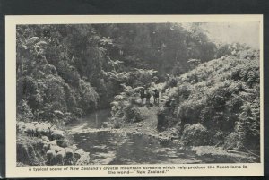 New Zealand Postcard - A Typical Scene, Crystal Mountain Streams   T4853