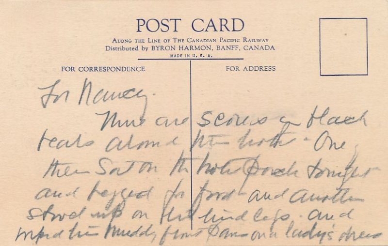 Black Bear with Cubs - Banff National Park AB, Alberta, Canada - Linen