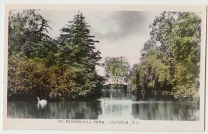 c1910 VICTORIA British Columbia Canada RPPC Postcard BEACONHILL PARK Swan