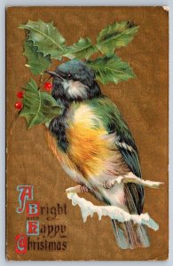 A Bright And Happy Christmas, Bird, Holly, Antique 1909 S.H. Knox Postcard