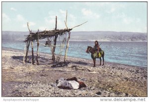 Israel Man On Horse The Dead Sea