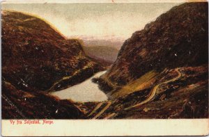 Norway Vy fra Seljestad Vintage Postcard C208