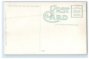 c1910's Pavilion And Walk Robinson Park Fort Wayne Indiana IN Antique Postcard