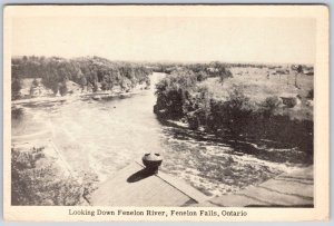 Postcard Fenelon Falls Ontario c1940s Looking Down The River Victoria County