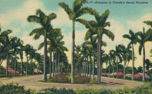 USA Entrance to Florida's Secret Paradise Linen Postcard 03.58