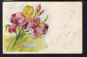 Irises Flowers BIN