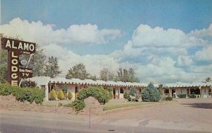 New Mexico Santa Fe Alamo Lodge roadside Montgomery 1950s Postcard 22-8607