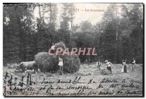 Old Postcard Folklore Haying Oxen